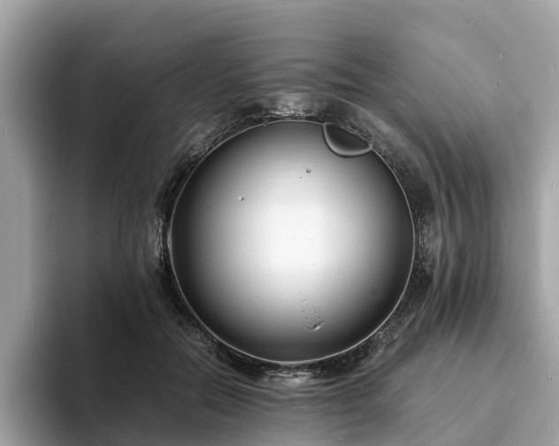 X0000094080554200710261309