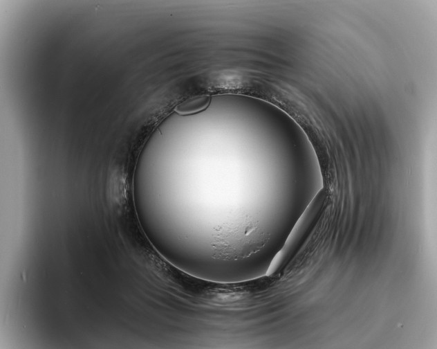 X0000094080555200710261309