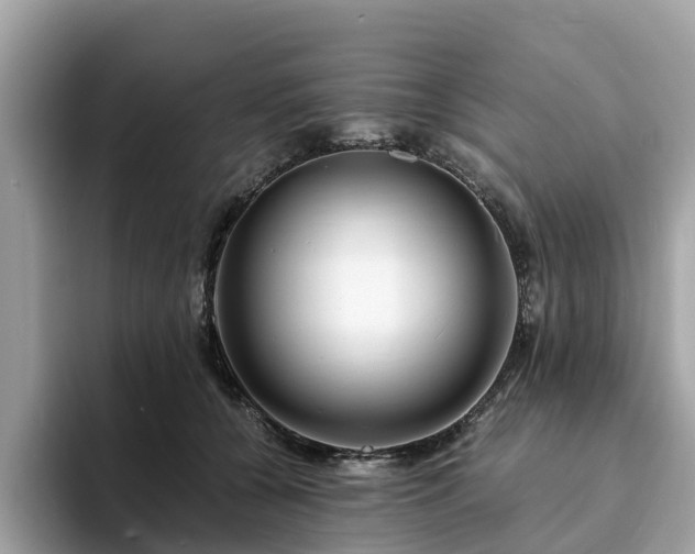 X0000094080560200710261309