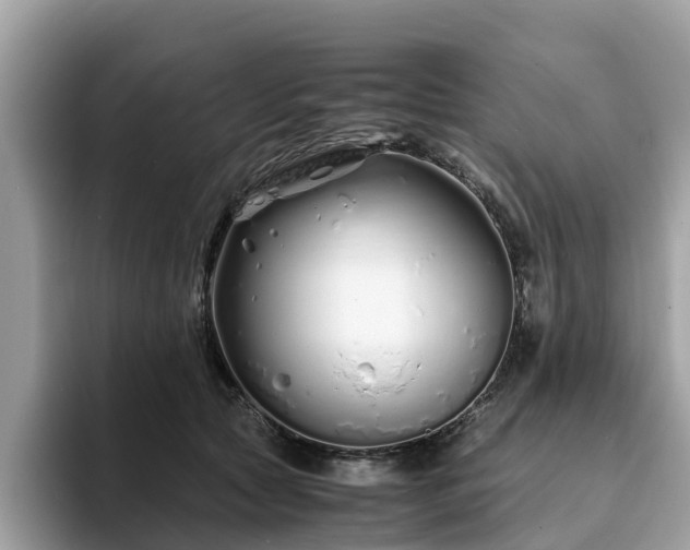 X0000094080561200710261309