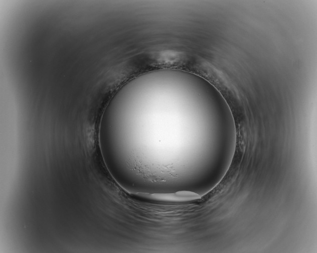 X0000094080563200710261309