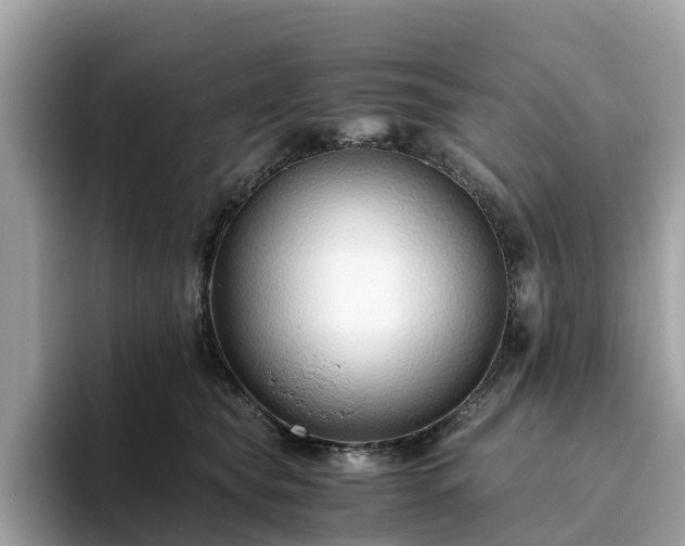 X0000094080565200710261309