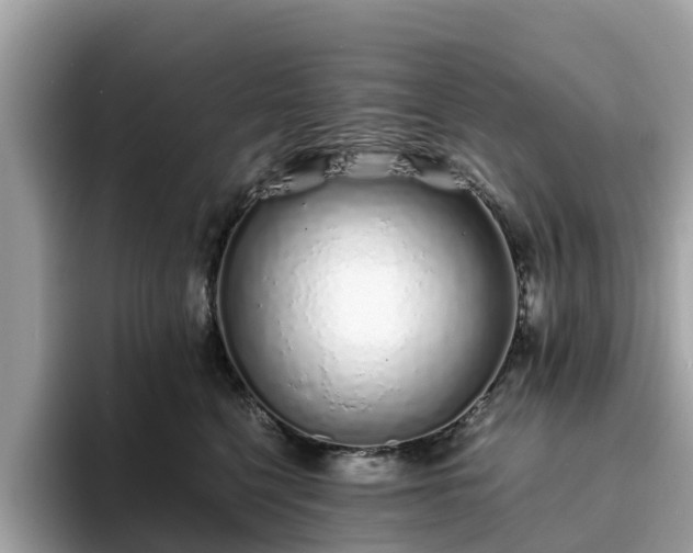 X0000094080568200710261309