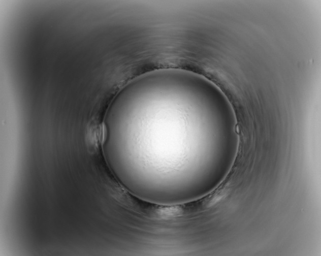 X0000094080576200710261310