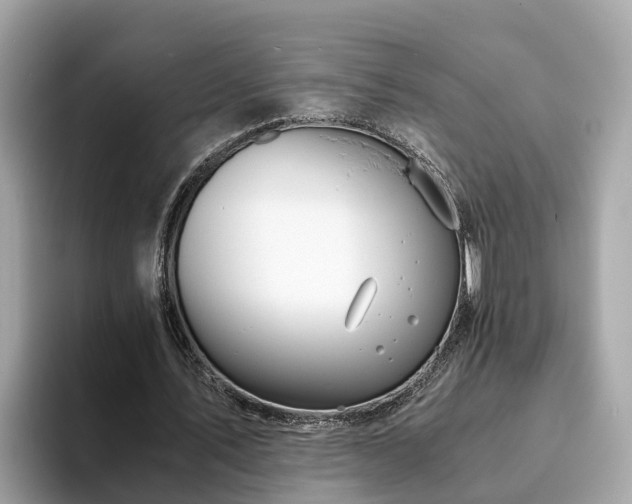 X0000094080579200710261309