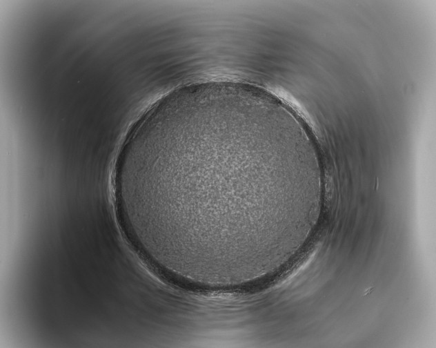 X0000094080581200710261309