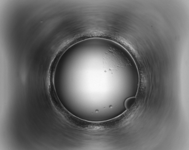 X0000094080582200710261309