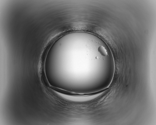 X0000094080583200710261309