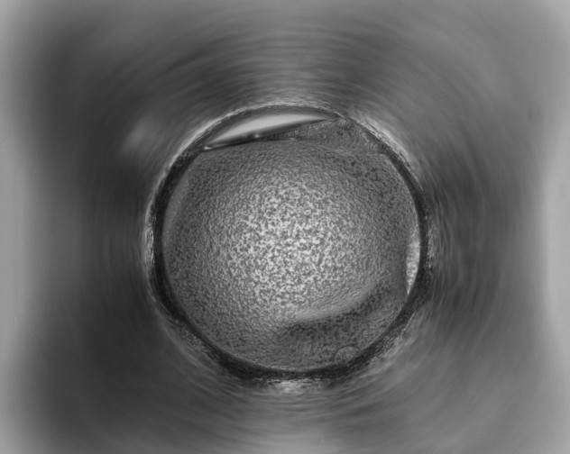 X0000094080584200710261309