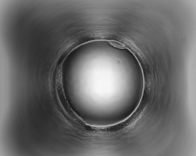 X0000094080585200710261309