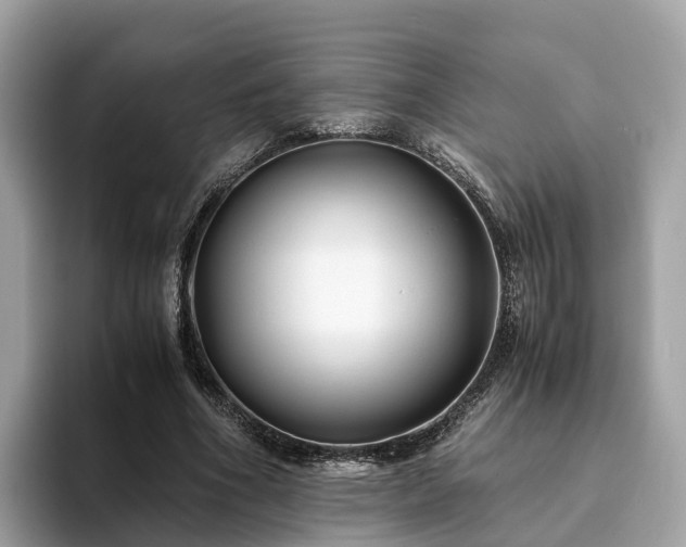 X0000094080586200710261309