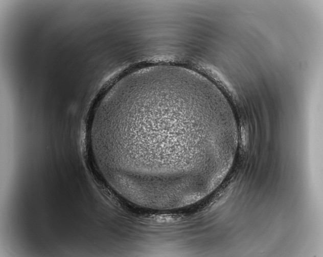 X0000094080588200710261309