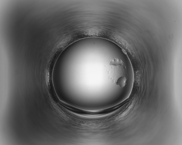 X0000094080589200710261309