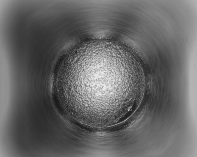 X0000094080590200710261309