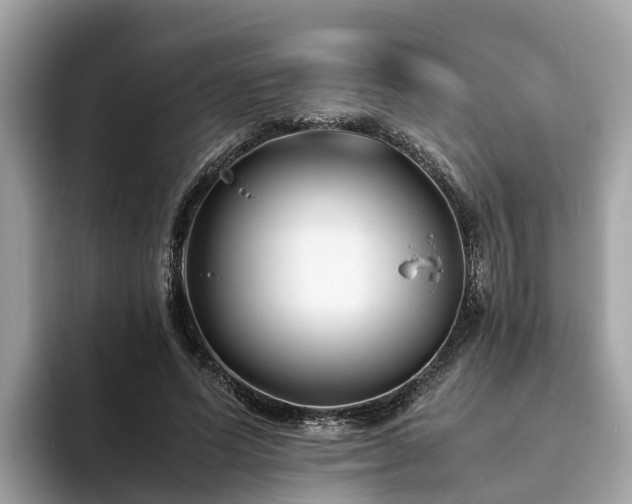 X0000094080591200710261309