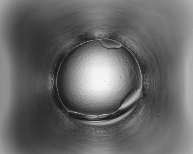 X0000094080593200710261309