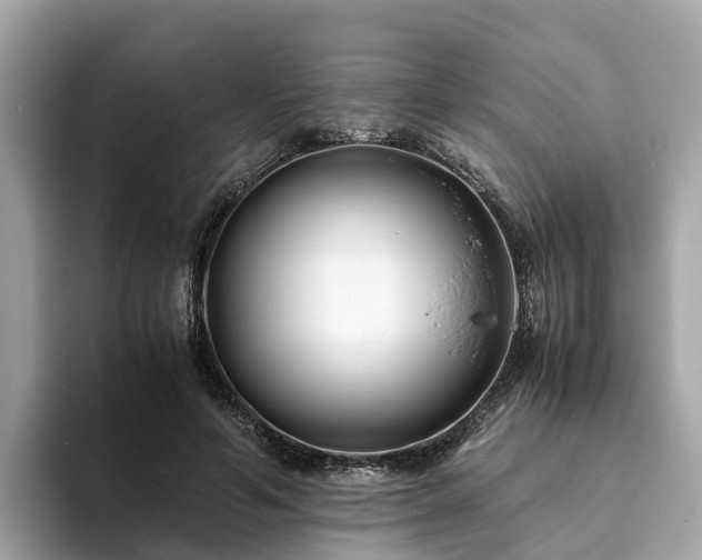 X0000094080594200710261309