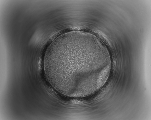 X0000094080596200710261309