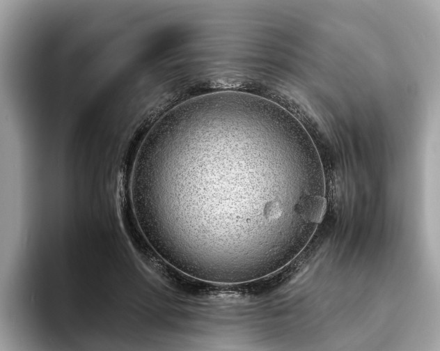 X0000094080598200710261309