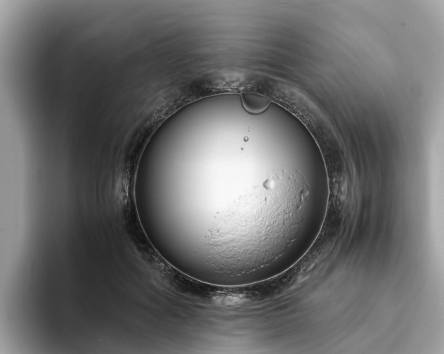 X0000094080602200710261309