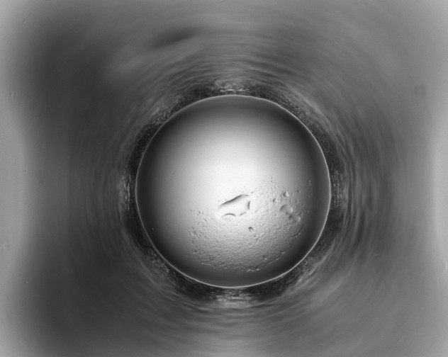 X0000094080603200710261309