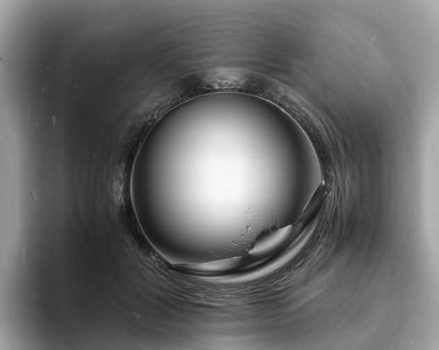 X0000094080604200710261309