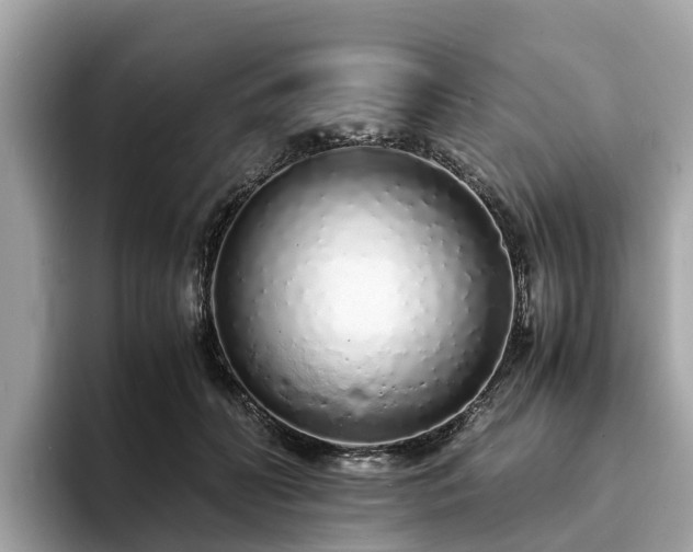 X0000094080606200710261308