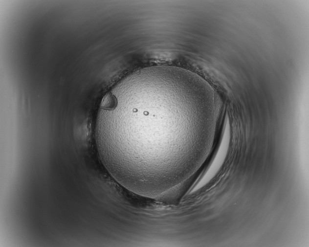 X0000094080608200710261308