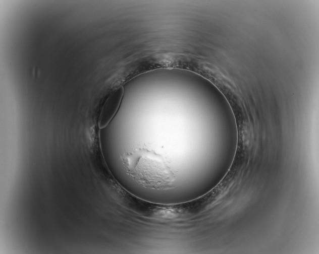 X0000094080611200710261308