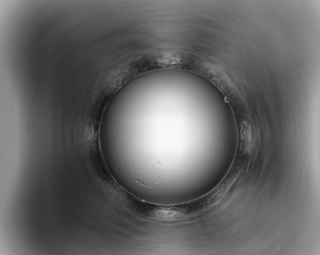 X0000094080614200710261308