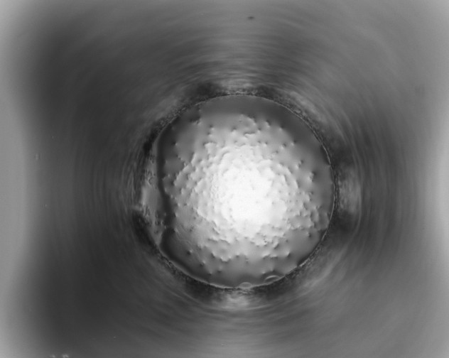 X0000094080618200710261308