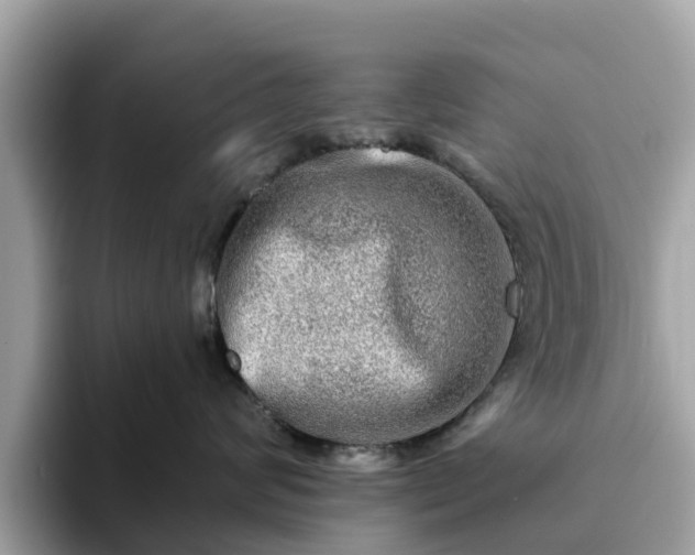 X0000094080624200710261308