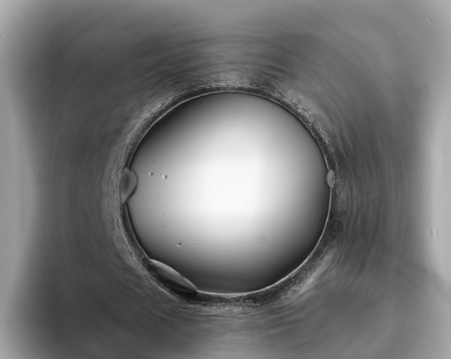 X0000094080625200710261308