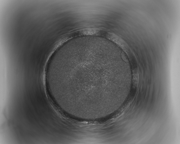 X0000094080626200710261308