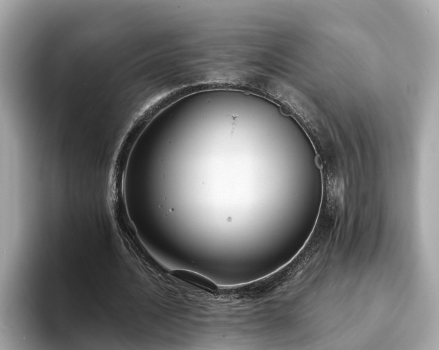 X0000094080628200710261308