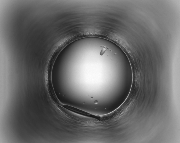 X0000094080629200710261308