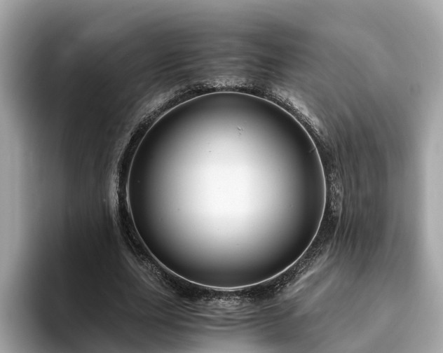 X0000094080631200710261308