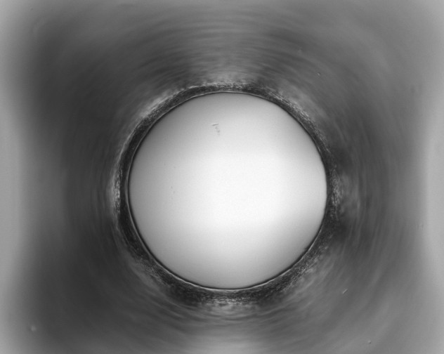 X0000094080632200710261308