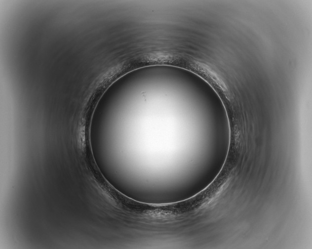 X0000094080633200710261308