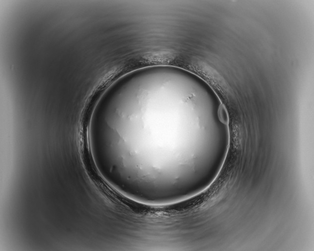 X0000094080634200710261308