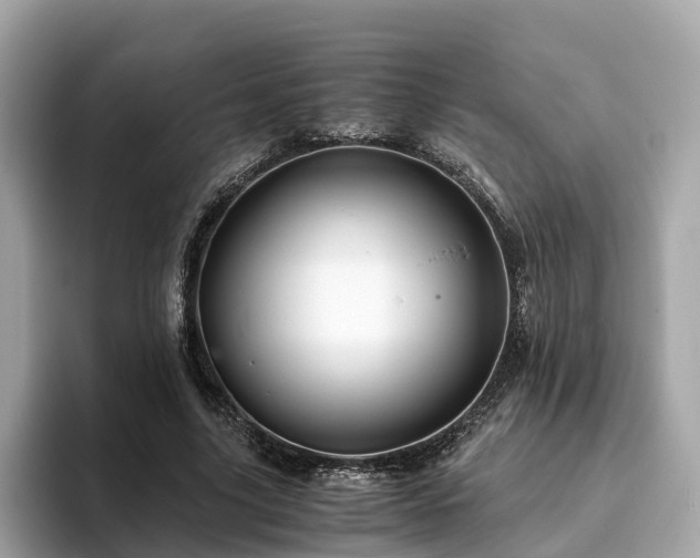 X0000094080635200710261308