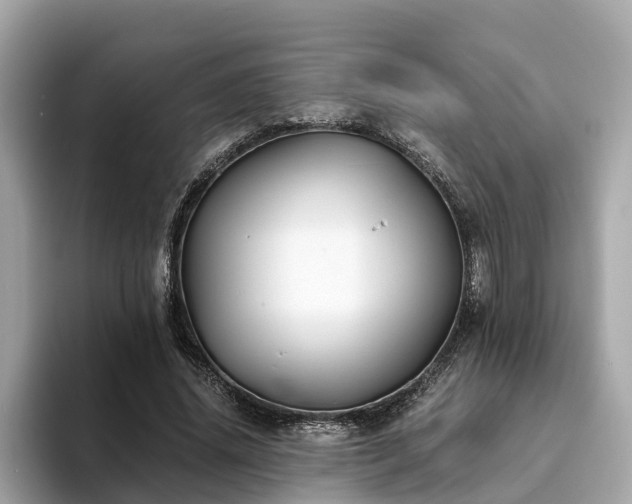 X0000094080636200710261308