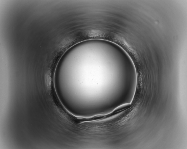 X0000094080637200710261308