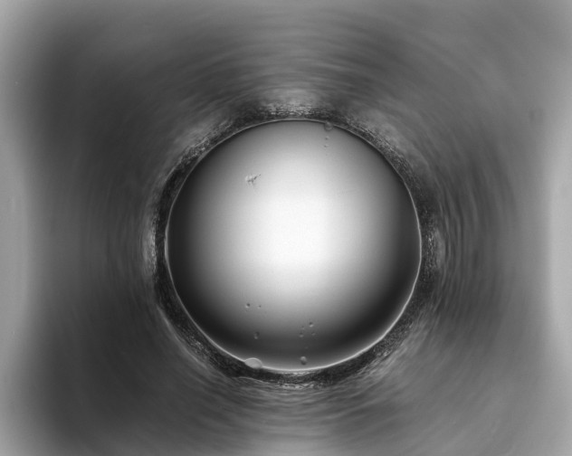 X0000094080638200710261308