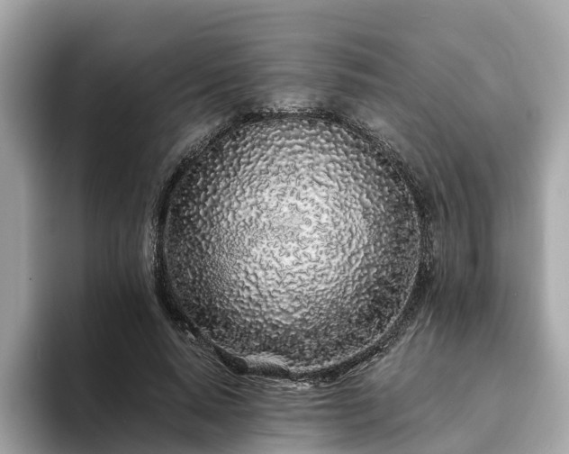 X0000094080640200710261308