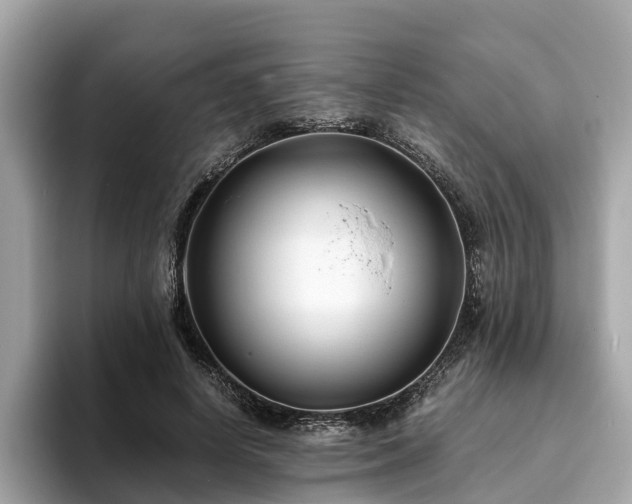 X0000094080642200710261308