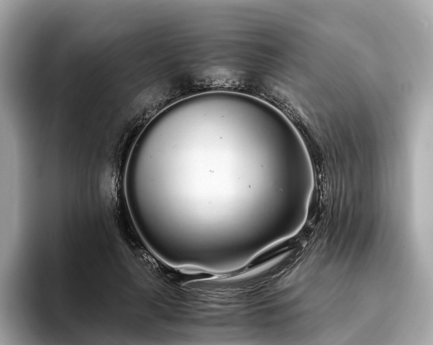 X0000094080643200710261308