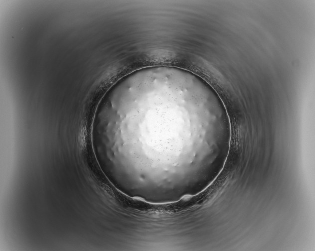 X0000094080644200710261308