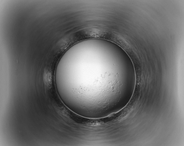 X0000094080646200710261308