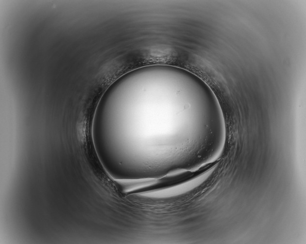 X0000094080647200710261308